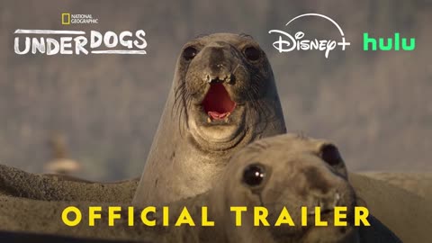 Underdogs - Official Trailer (2025) Ryan Reynolds
