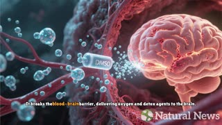 DMSO, the suppressed miracle cure