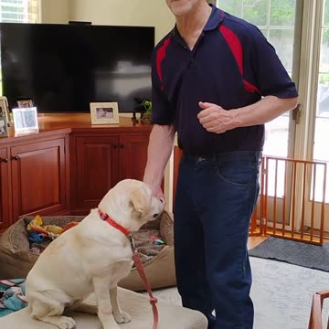 Molly's Lesson Three short 3