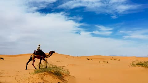 Desert