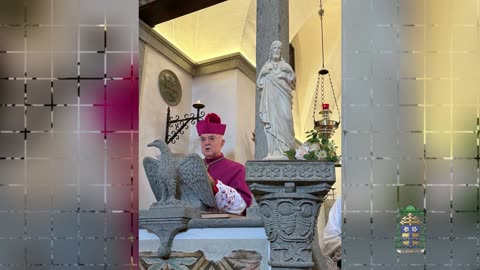 Arcivescovo Vigano Omelia Santi Pietro e Paolo 29 Giugno 2025