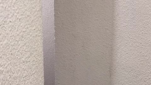 ..until the end 😁