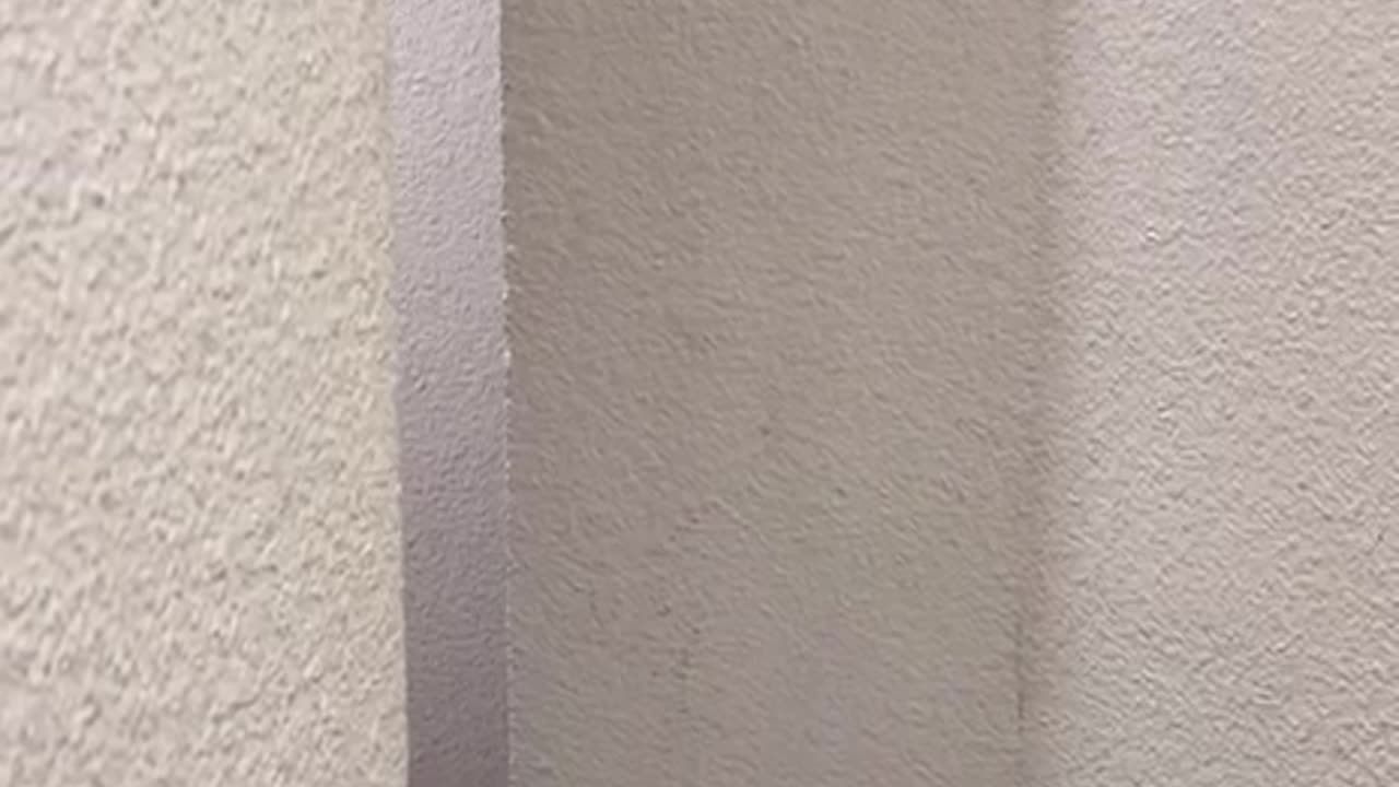 ..until the end 😁