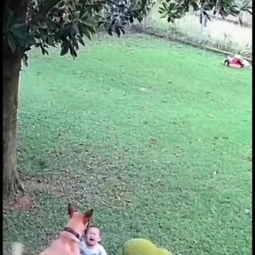 Are they able to see the future? 🤯