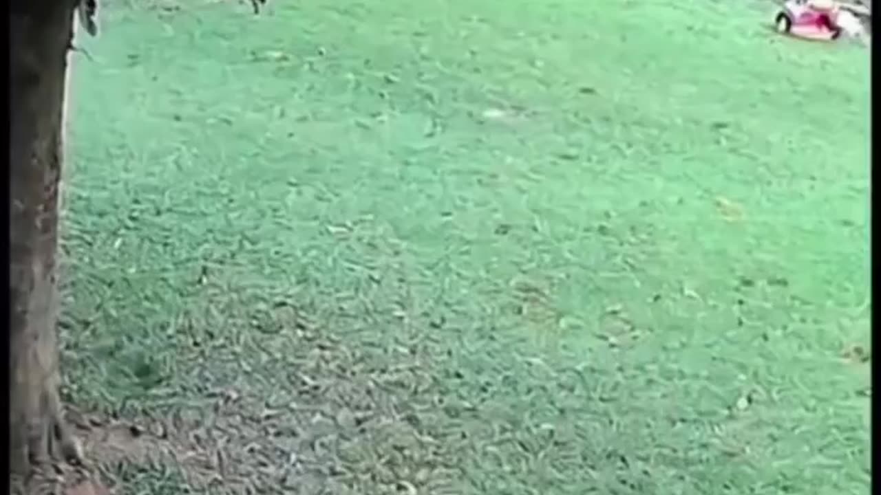 Are they able to see the future? 🤯