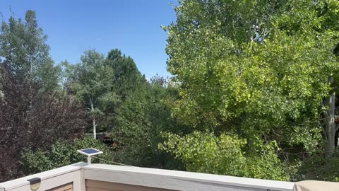 A great day outside