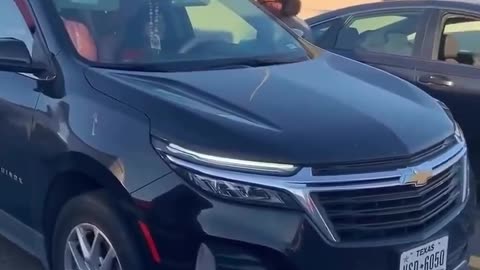 Gets in a car accident, acts like a wild animal, then wonders why the other driver