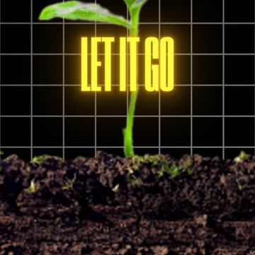 Are You Willing to Let Your Dream Die?