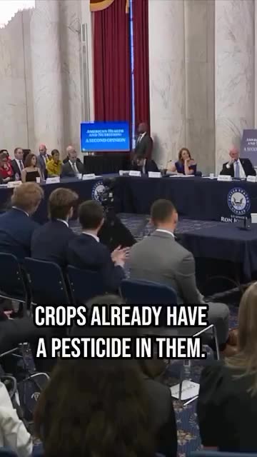 GMO seeds, pesticides, leaky gut connection