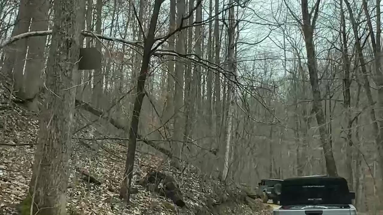 Off-Roading Adventure Deep in the Muddy Woods 2q #jeep #jeepwrangler #offroad