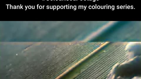 Before the Storm Soviet Paratroopers Practice Before War #ColourisedHistory