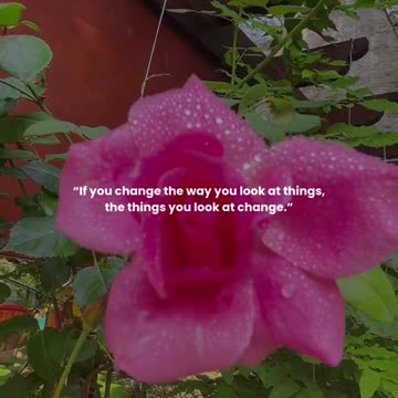 If you change the way you look at things, the things you look at change.