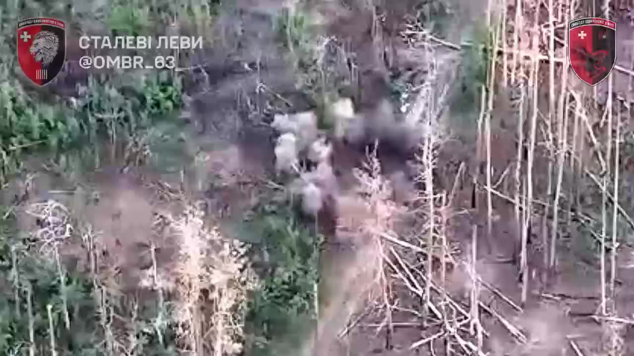 Russian Infantry Tries to Advance While Covered in Foliage