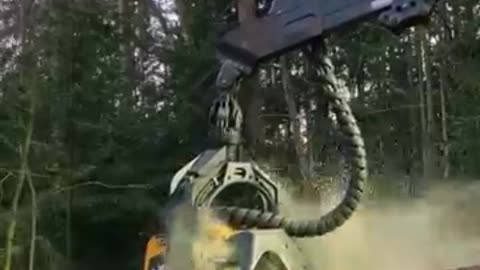 Crazy Tree Fails vs Idiots Near Misses Caught on Camera ｜ Raw Power & Close Calls! #shorts