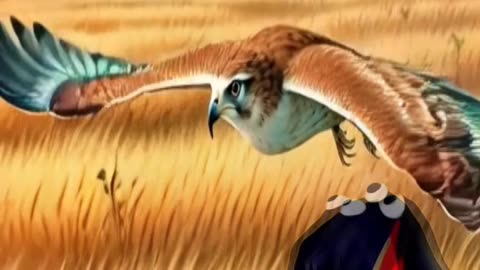 El carancho y el zorro. Una lección de astucia - Cuentito