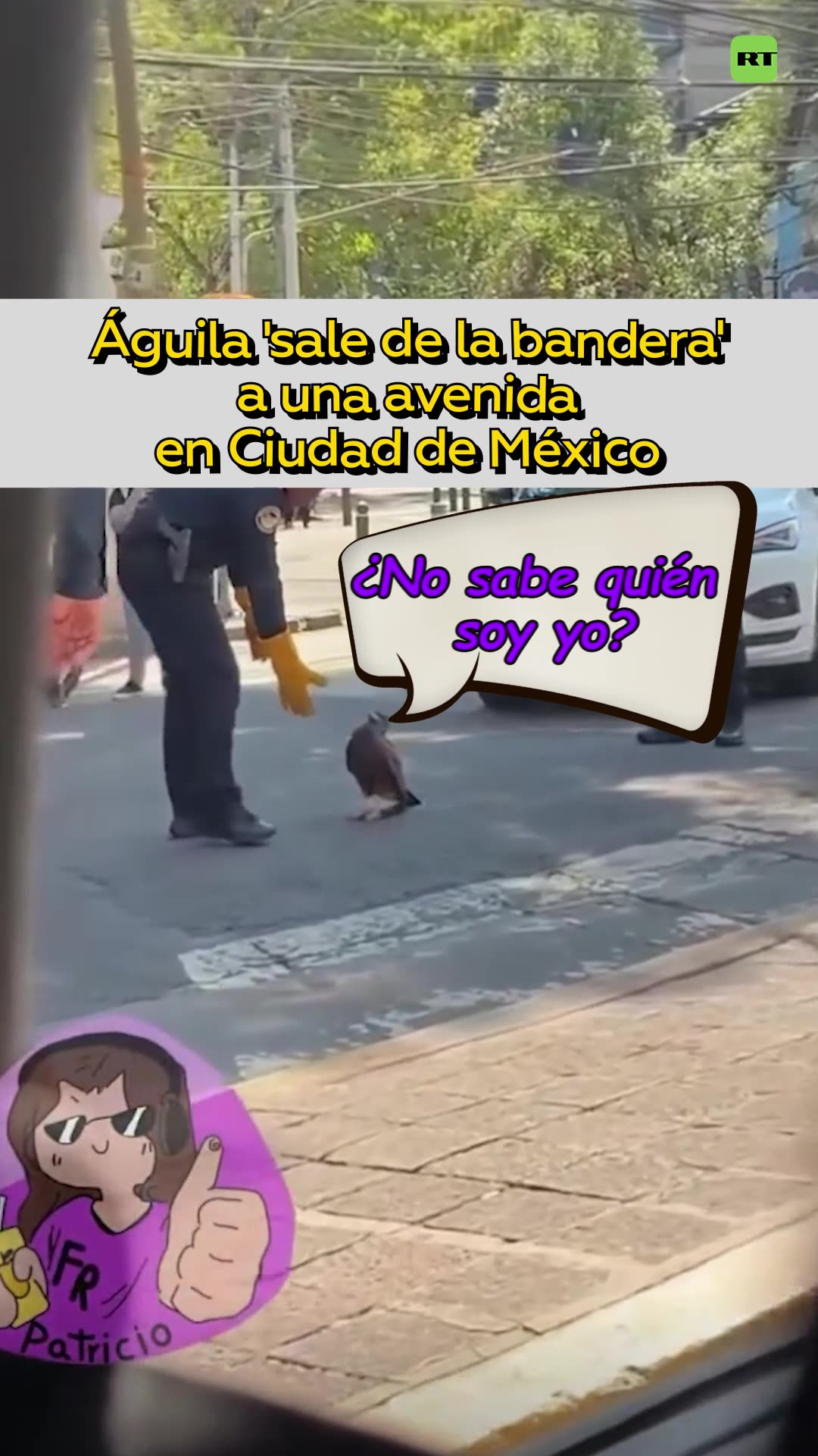 El símbolo vivo de México se cuela en plena avenida de la capital