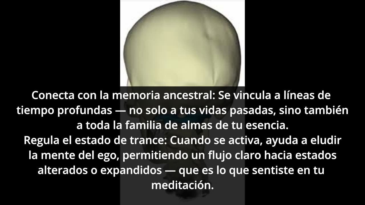 Los Centinelas Y Los Guardianes: Centro portal detrás de la cabeza