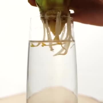 HOE JE GROEN VERDER KUNT LATEN GROEIEN 🍀