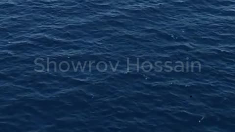 MH370_ The Vanishing