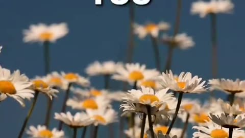 1% RULE THAT WILL CHANGE YOUR LIFE