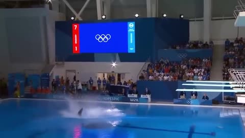 Which Fish Wins Gold | Animal Olympics.