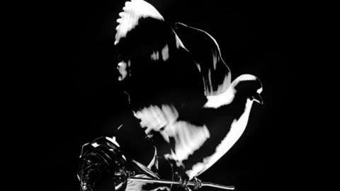 Pop Smoke - Snitchin (ft. Polo G, Quavo & Future) (432hz)