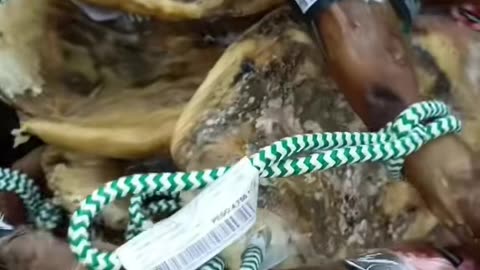 Paletas Ibéricas Fili