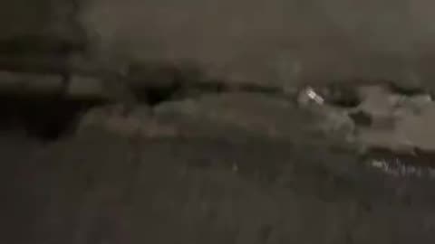 Comedy Videos 🤣 so cute videos 😍 dogs