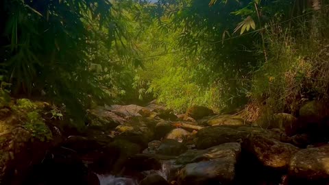 Nature is so beautiful