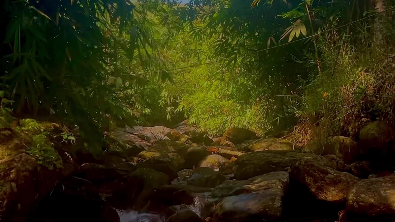 Nature is so beautiful