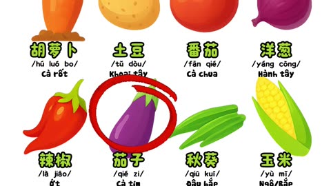 🌱 12 TỪ VỰNG RAU CỦ TIẾNG TRUNG CƠ BẢN 🌱 – bacnhabook.vn