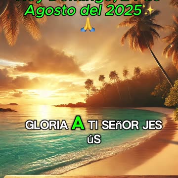 🙏✨Evangelio de Hoy Domingo, 24 de Agosto del 2025✨🙏