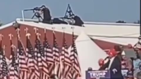 Secret Service counter snipers react to the assassination attempt on Trump