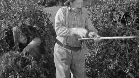 E23. Goofs and Saddles - Curly Howard Era - 1937