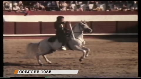 Emidio Pinto - 50 anos de alternativa