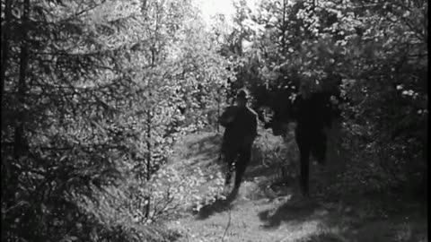 Åsa-Nisse flyger i luften 1956