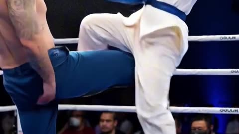 The kung fu girl's consecutive kicks