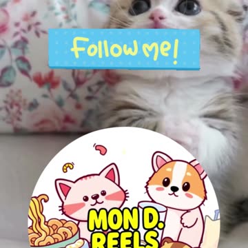 🌟 WARNING: May Cause Extreme Cuteness Overload! 🌟