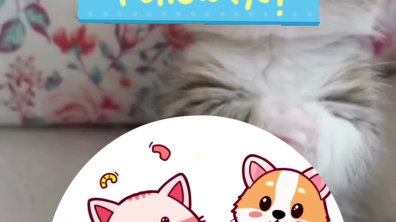 🌟 WARNING: May Cause Extreme Cuteness Overload! 🌟