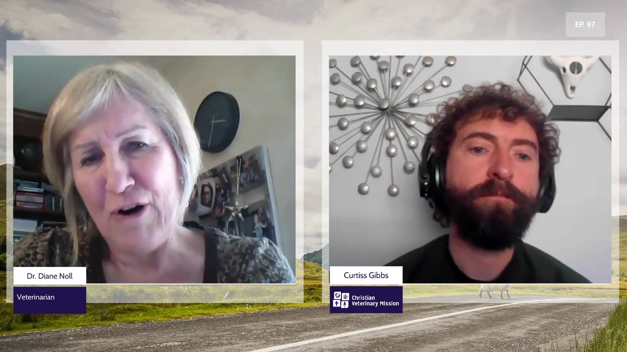 Diagnosing Ethical Fatigue | Episode 97 | Diane Noll | Two Roads Crossing