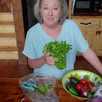 Preserving the Life of Cilantro