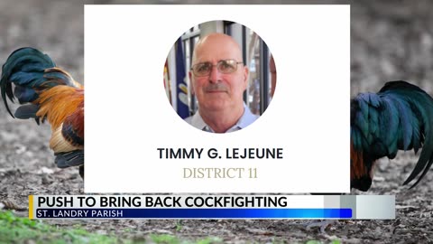 Could cockfighting be brought back to St. Landry Parish?