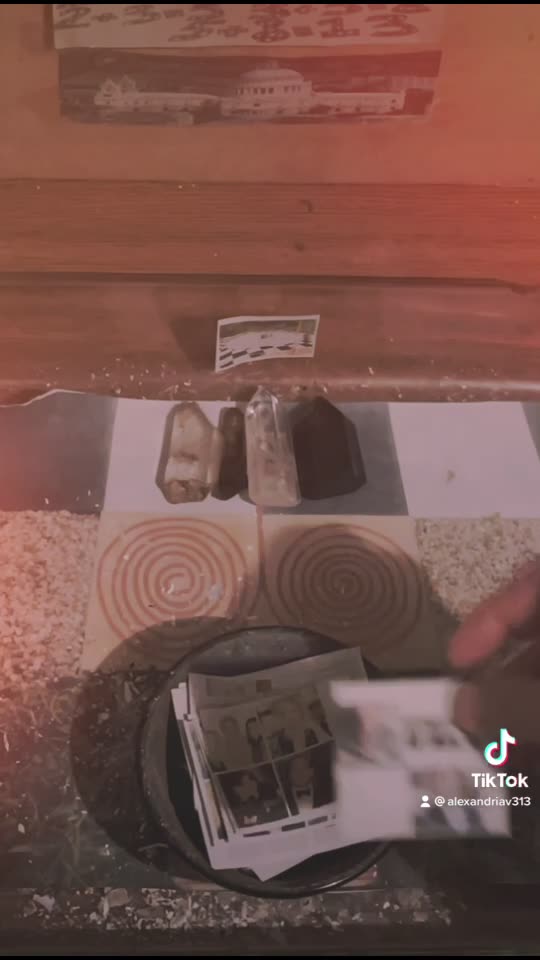 Tim Rifat TikTok Videos