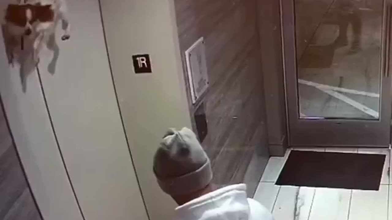Man saves dog with leash stuck in elevator going up