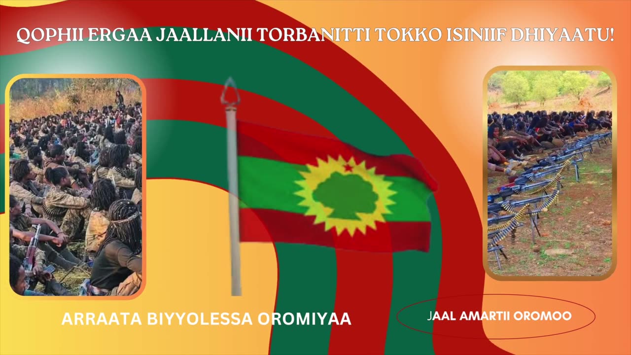 ONM-ABO Hagayya 10-2025 itti dhiyaadhaa!