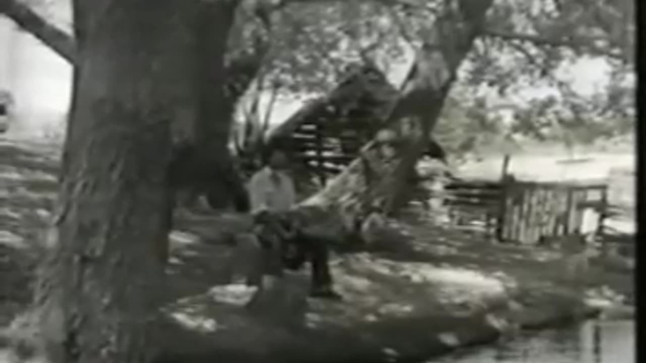 Classic Sesame Street Episode 813