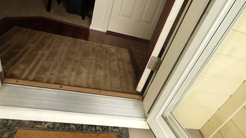 Even more strange sounds from the neighbor's house!!!