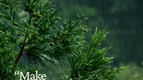 Make money and buy higher quality food by Ed Delacruz #health #healthy #healthadvice #reels #shorts