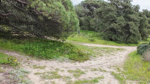 BIKE RIDE pela MS S06E01 27th of MAR 2K25 PART 18