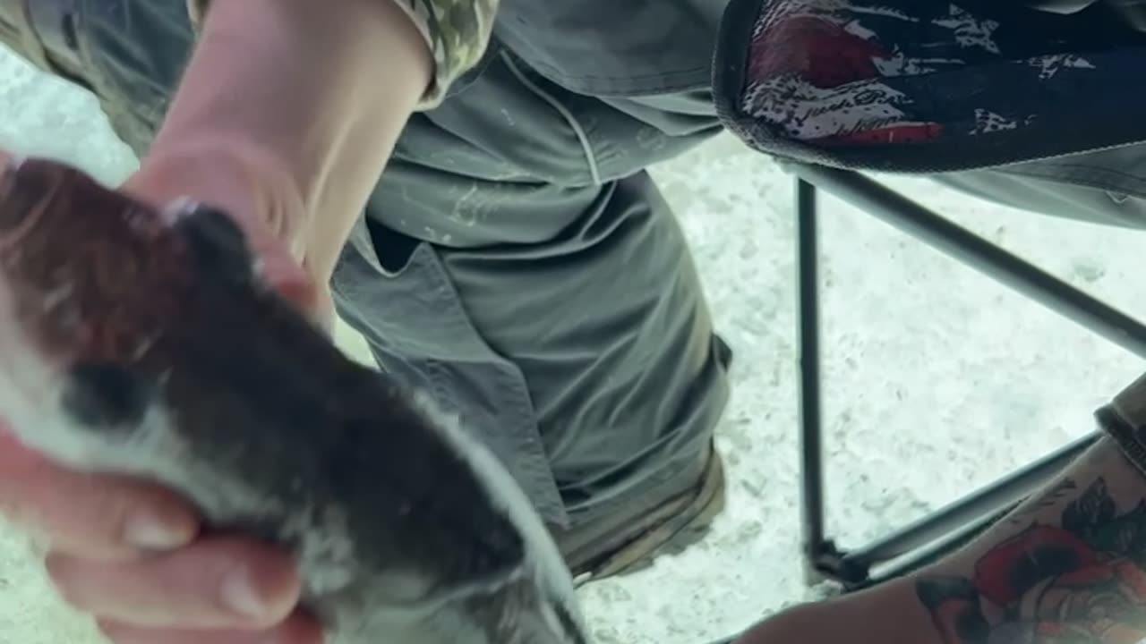 When Ice Fishing Is Slow You Gotta Take a Walleye Shot